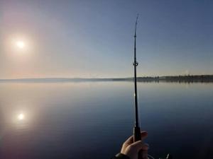 Dougs Retreat at Basin View