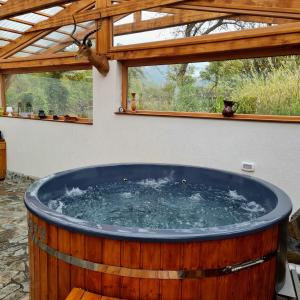 Pensiunea Casa Țărănească