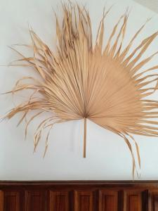 Maisons de vacances PENINSULAR HOUSE : photos des chambres