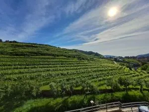 Wohnung in der Wachau - 瓦豪地区魏森基兴