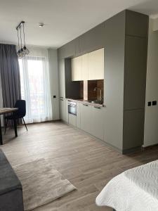 goHOME Plovdiv-apartments and studio