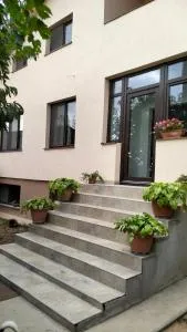 Vila Aurora - Preajba