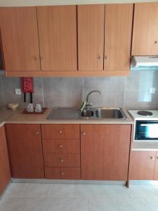 "Village Petrina" Sevasti Symi Studios