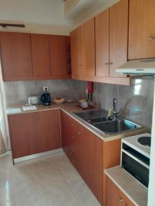 "Village Petrina" Sevasti Symi Studios