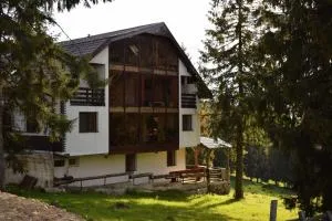 Pensiunea Vila Daniel - Chişcău