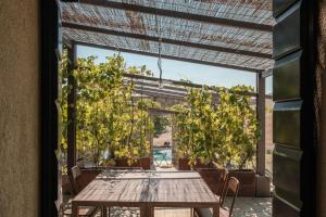 Podere San Pasquale - La Vigna