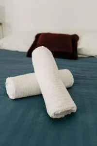 84B4 - Glycine suite in an 18th century Provencal farmhouse - Althen-des-Paluds