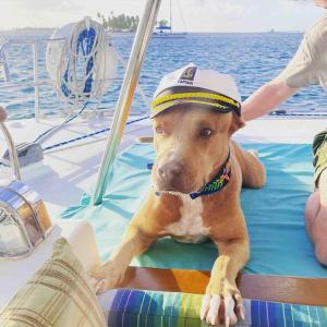 Flying Ginny Lagoon 55 Catamaran All-Inclusive Charter