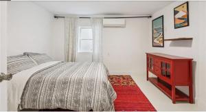 Historic New Orleans in the Treme