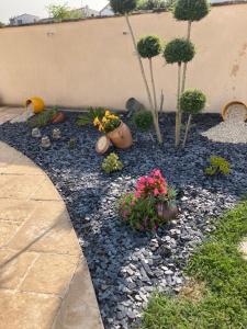 Maisons de vacances Petite maison dans le jardin : photos des chambres