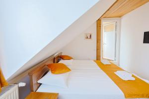 Casa de Vacanta Diana Turnu Rosu