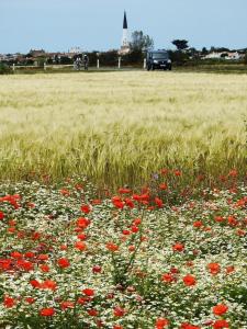 Maisons de vacances Petite maison dans le jardin : photos des chambres