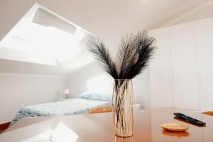 Maison 26 Campobasso