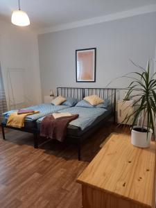 Zastávka v lázeňském trojúhelníku apartmán 2