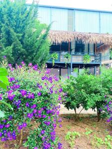 Bó Bun Homestay Sàn cộng đồng