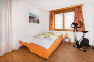 Maisonette Wohnung - Chalet Amethyst in Taesch bei Zermatt