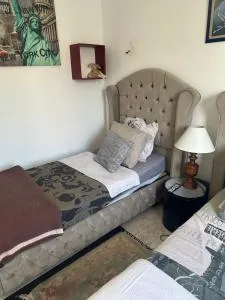 Laila - Nogent-sur-Oise