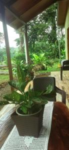 Greenhouse Lofts Miravalles