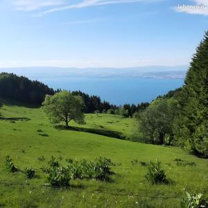 Appartements Studio pied des pistes - Bernex : photos des chambres