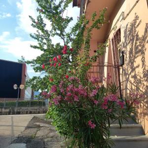 Residenza verdeazzurra