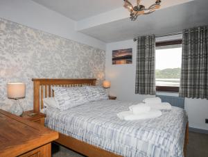 Drysgol Lakeside - Bala Lake