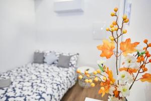 Loft dal design raffinato a Vigonovo