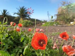 Casa Tara Ruhe und Entspannung, Natur pur