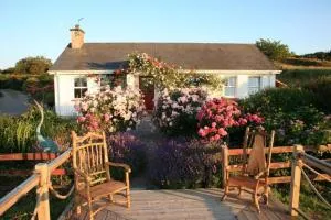 Herons Cove Cottage - 斯卡尔