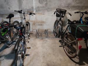 Appartements Les Magnolias - Calme - Confort - Parking - Tram : photos des chambres