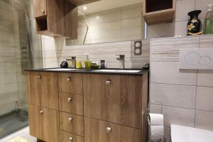 Appartements Studio dans un petit village entre Annecy - Geneve : photos des chambres