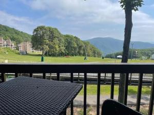 Timbers Studio 13 with Wintergreen Advantage