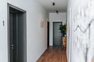 Studio apartmani Albero 