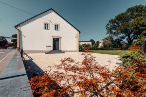 Studio apartmani Albero 