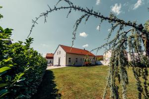 Studio apartmani Albero