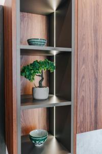 Studio apartmani Albero