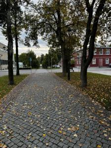 Katariina allee korter