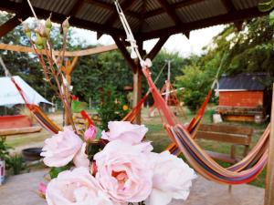 Turismo Jaos Cabañas Tinas y Quincho