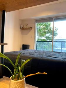 mono ambiente hogareño - zona centro