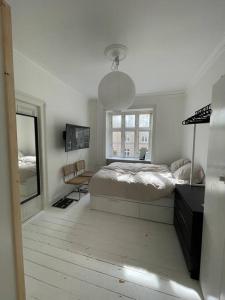 Central Lejlighed i København