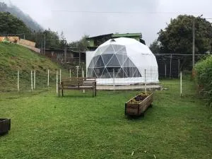 Quinta Verde Limón - Penipe