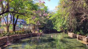 Apartamentos de 1 quarto thermas Paradise