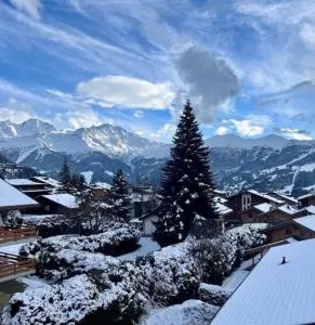 Verbier - 马蒂尼威尔