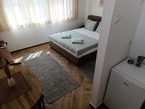 Nikolic apartment