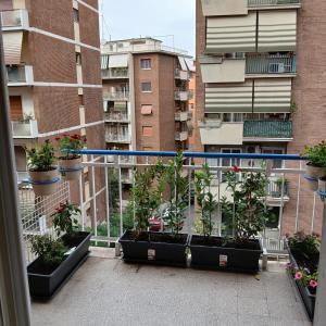Appartamento con 1 Camera da Letto