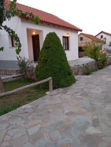 Alexander Houses livadi Arachovas