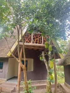 Nguru Farm - Nalakonge