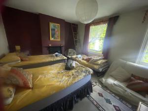 Glastonbury 2-Bed House Sleeps 6 & Pet Friendly