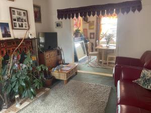 Glastonbury 2-Bed House Sleeps 6 & Pet Friendly