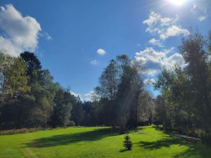 Chalets Chalet a louer, Spa, sauna, billard, gerardmer : photos des chambres