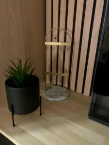 Appartements Le Doux Mer - Studio Royan Hyper Centre - Classe 3 etoiles - 2 pers - 150m plage : photos des chambres
